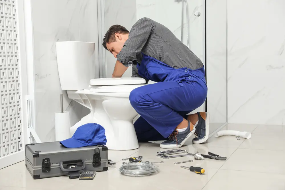 Toilet Repair in Pharr